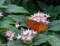 Imagen Jardín Botánico de Guayaquil